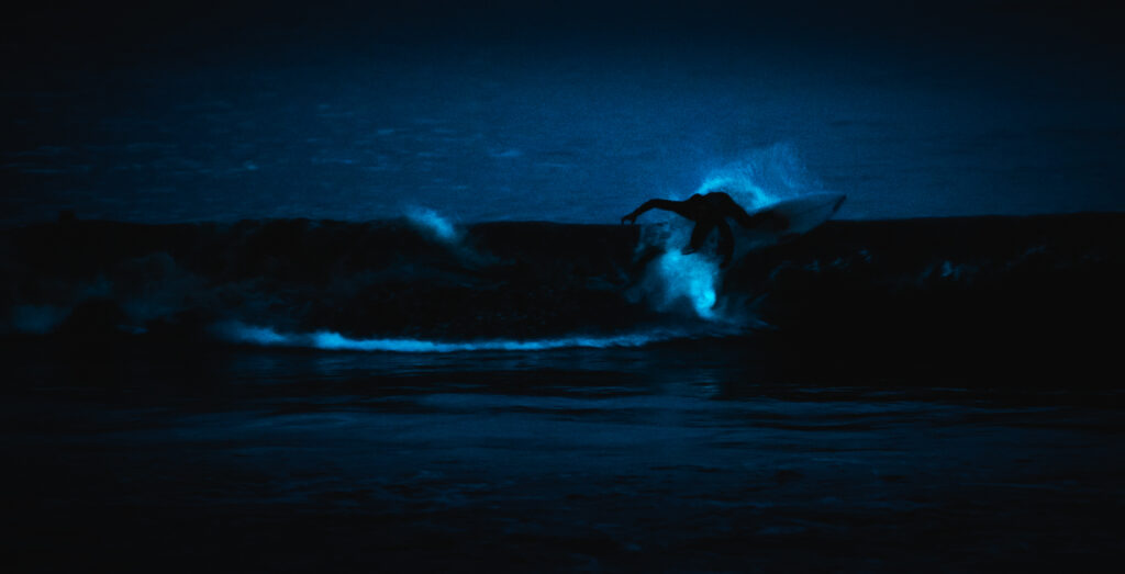 bioluminescent surfing