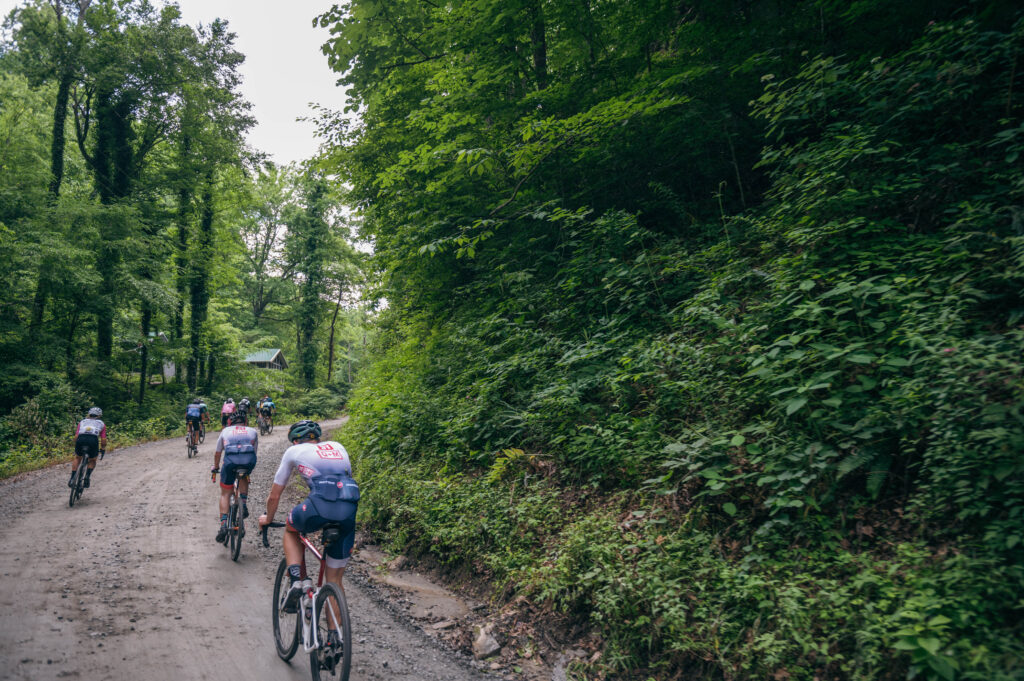 BWR Asheville