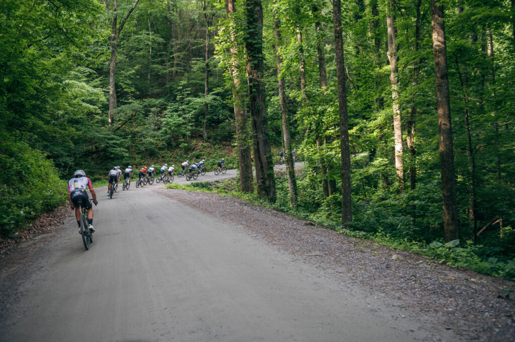 BWR Asheville