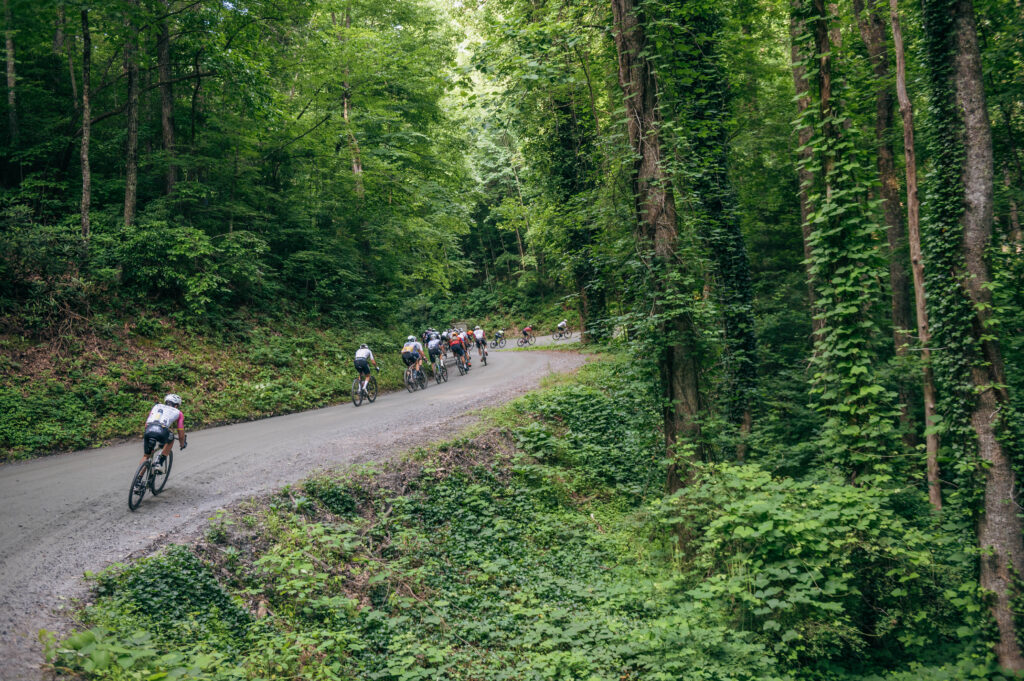 BWR Asheville