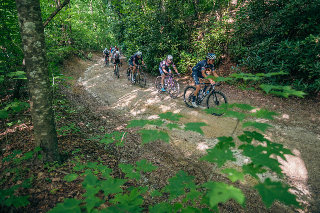 BWR Asheville