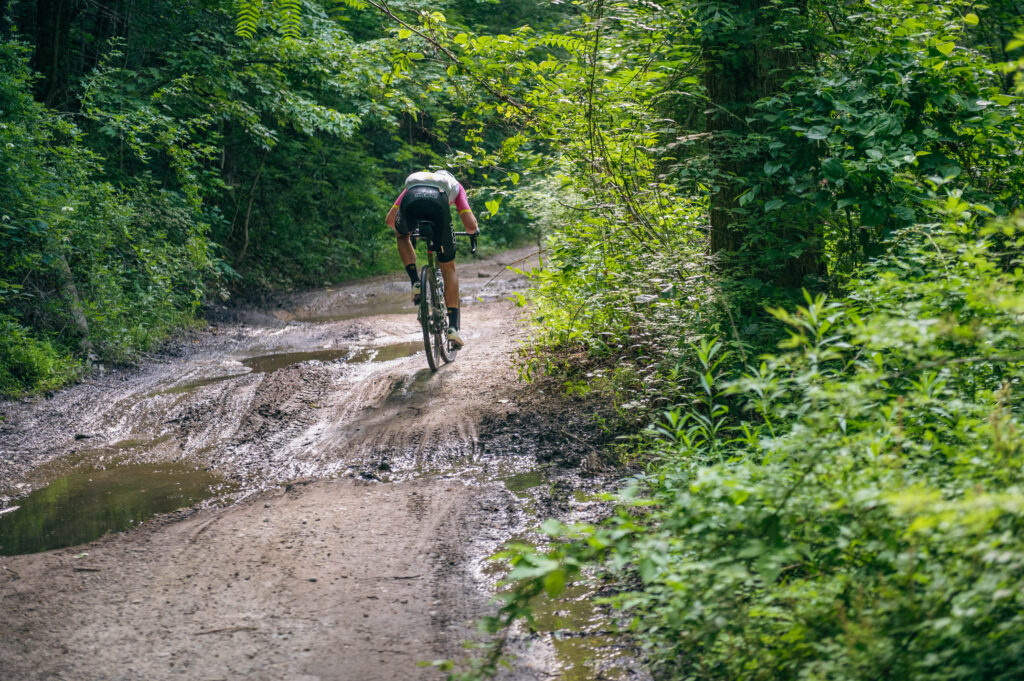 BWR Asheville