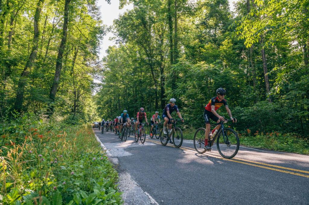BWR Asheville