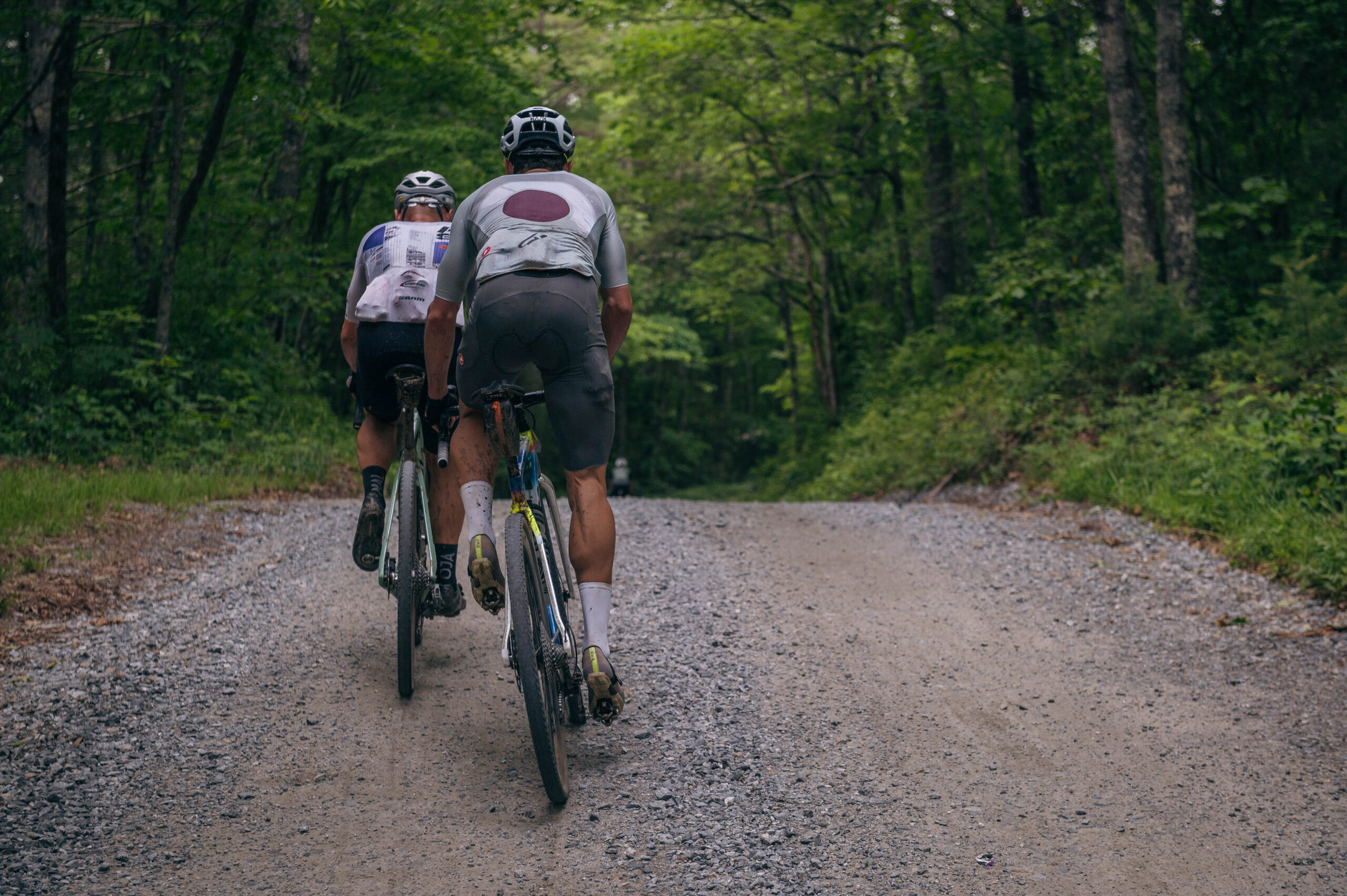 BWR Asheville