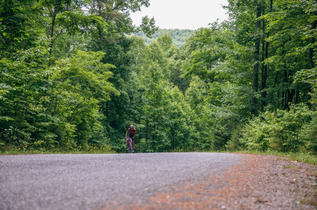 BWR Asheville