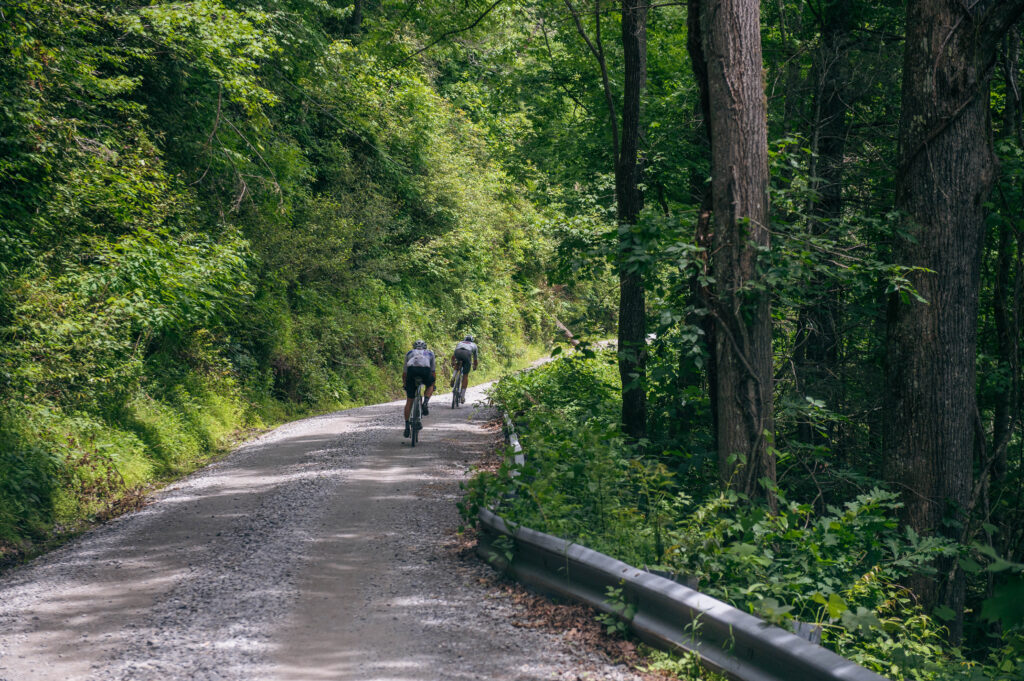 BWR Asheville