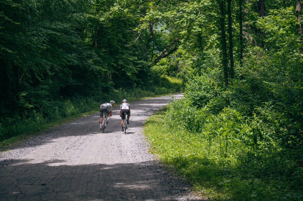 BWR Asheville