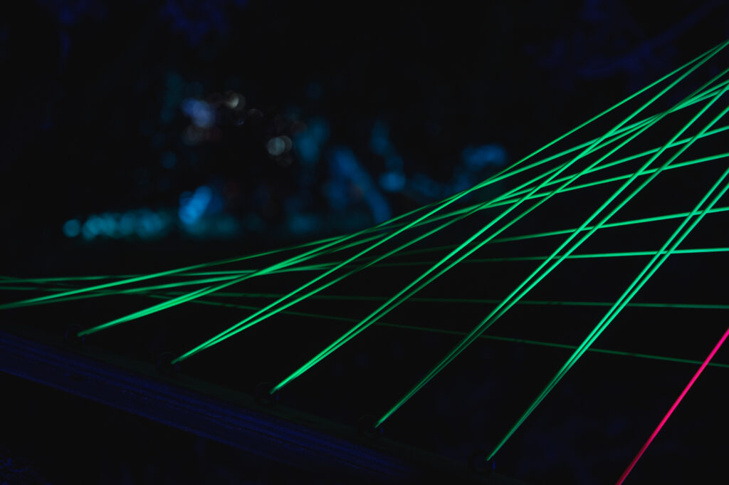 San Diego Botanical garden lightscape neon tapestry