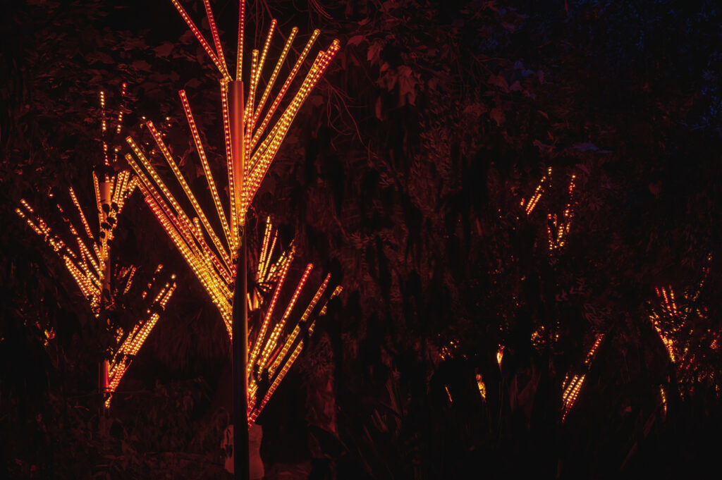 San Diego Botanical garden lightscape light sculptures
