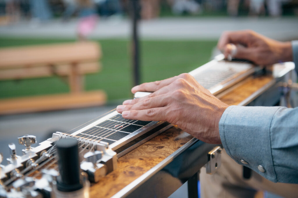 steel guitar, live music photography 