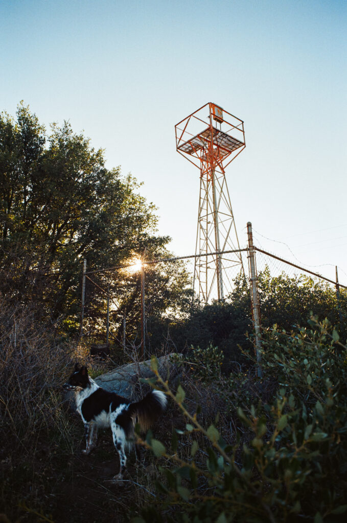 volcan mountain lookout tower 