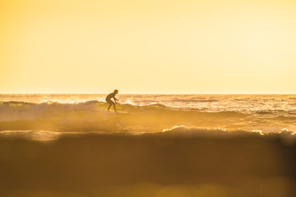 Silhouetted photo of a surfer surfing golden waves in a San Diego sunset. Photo by Rob wessels  