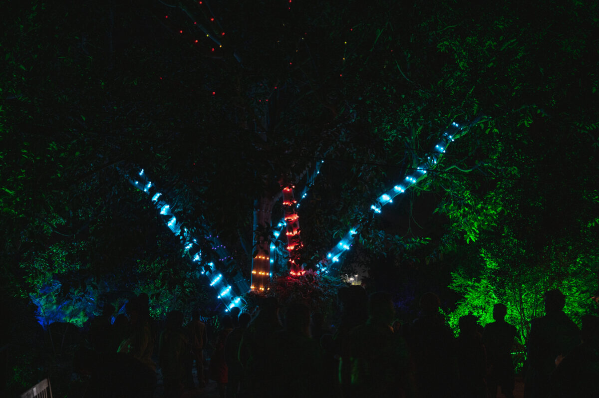 San Diego Botanical garden lightscape singing tree