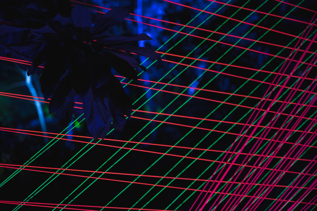 San Diego Botanical garden lightscape neon tapestry