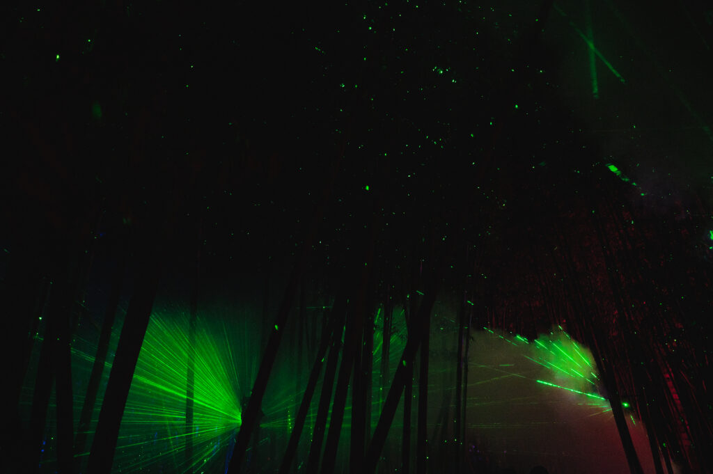 San Diego Botanical garden lightscape light show