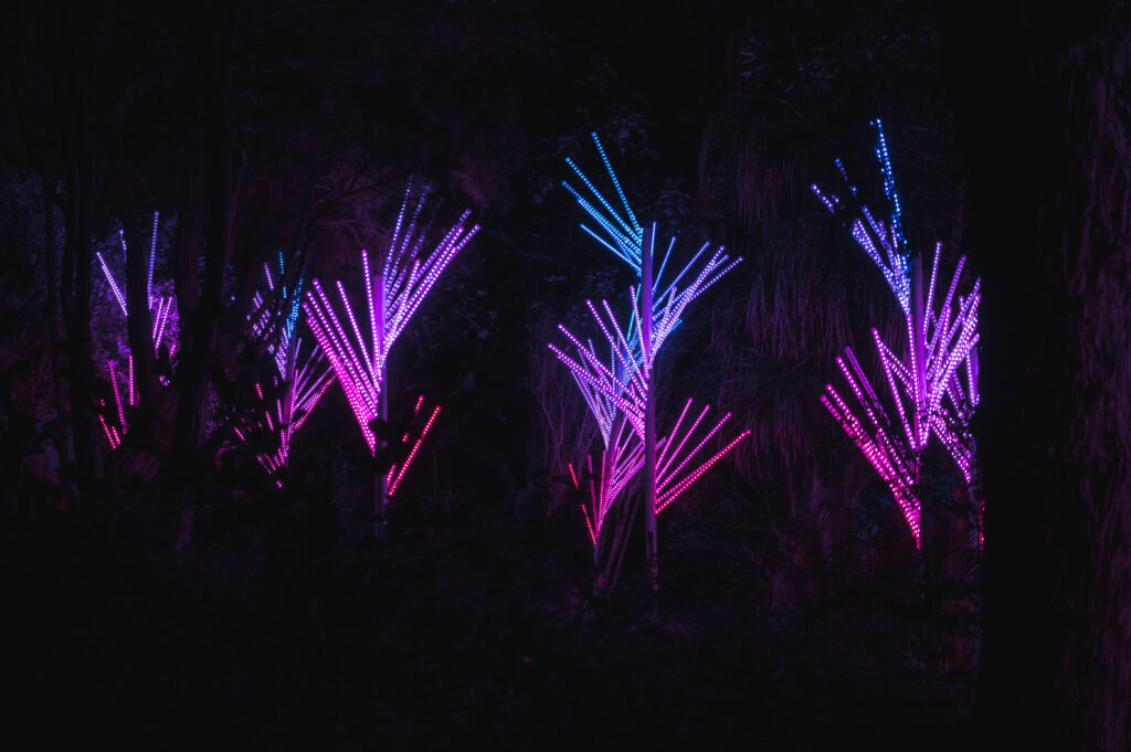 San Diego Botanical garden lightscape light sculpture