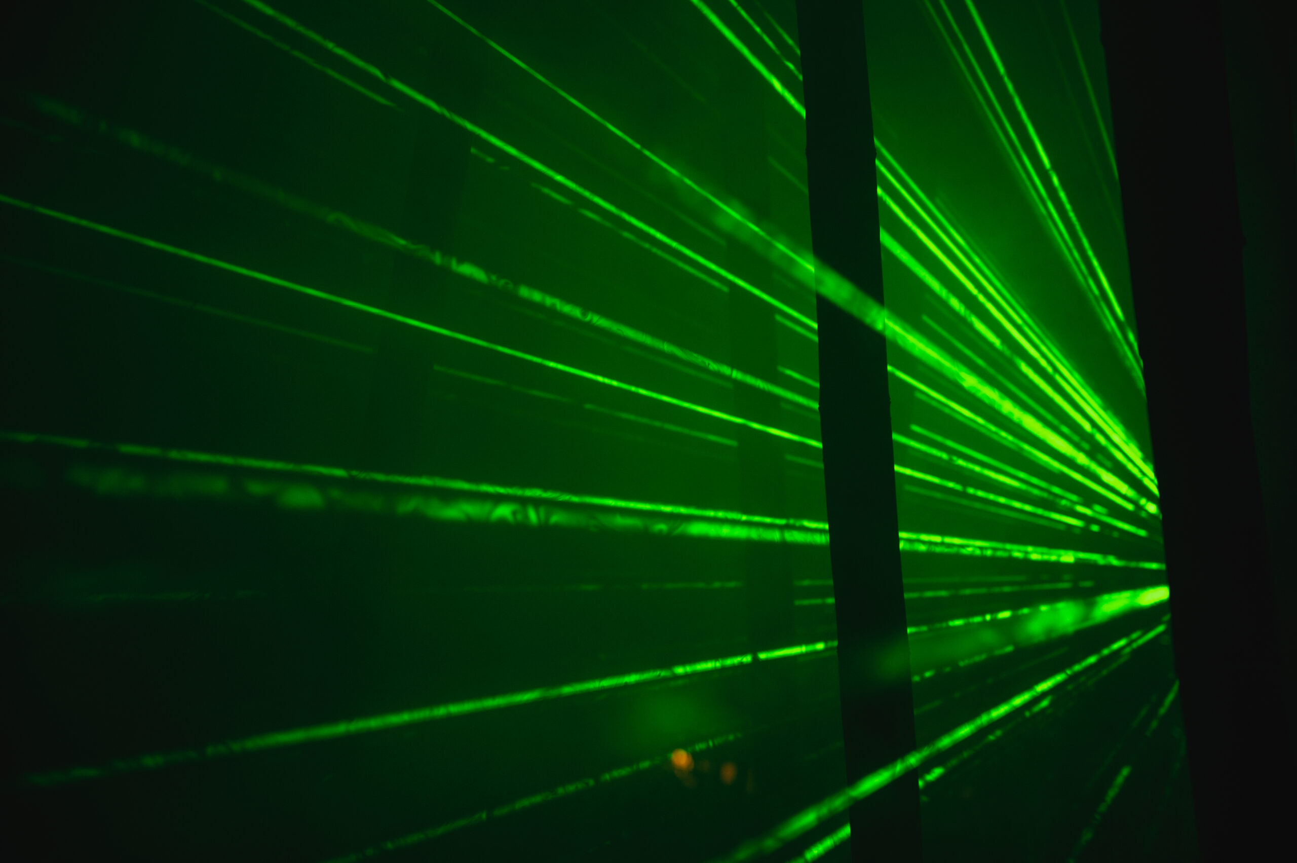 San Diego Botanical garden lightscape light show
