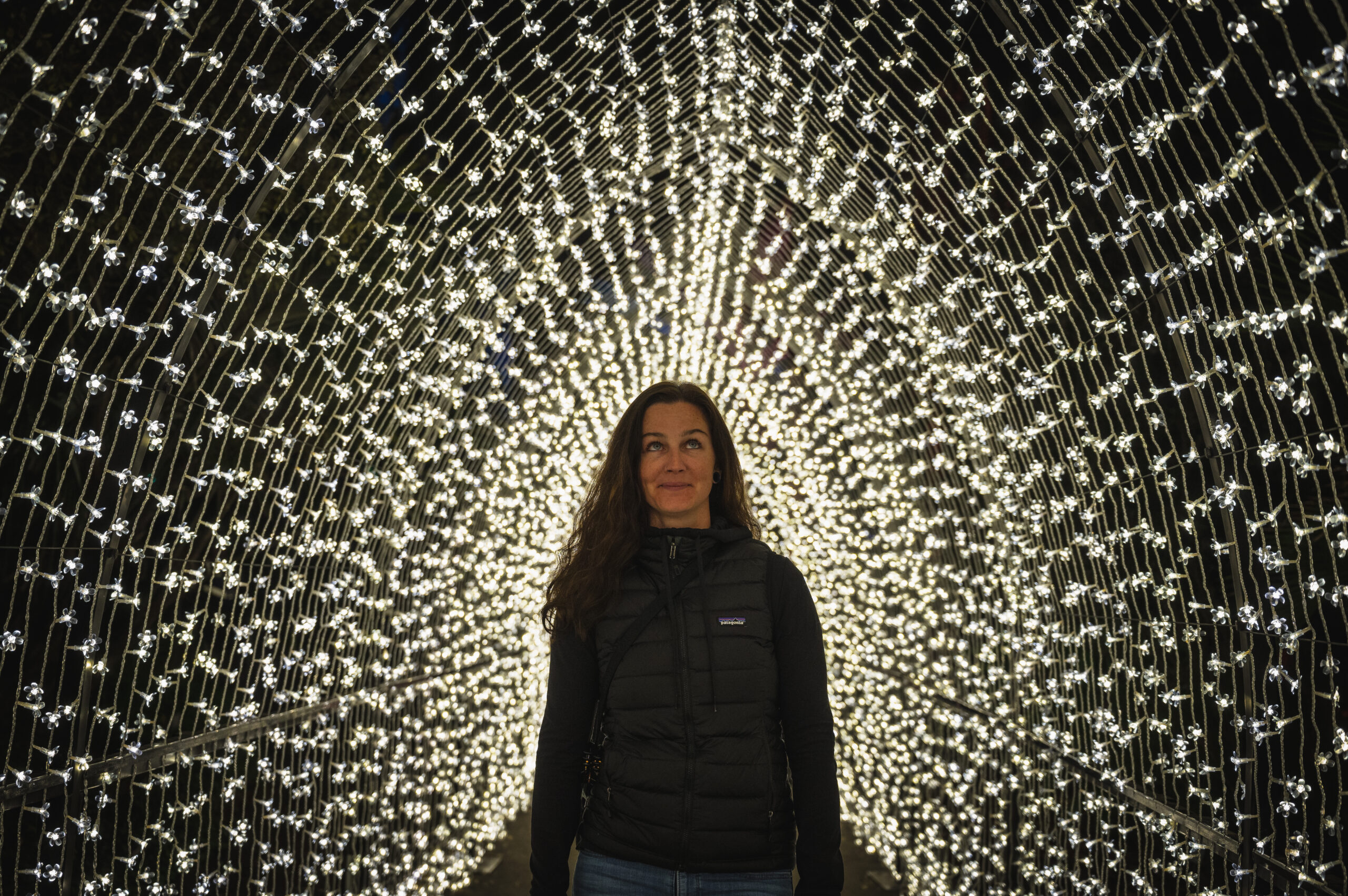 San Diego Botanical garden lightscape light tunnel