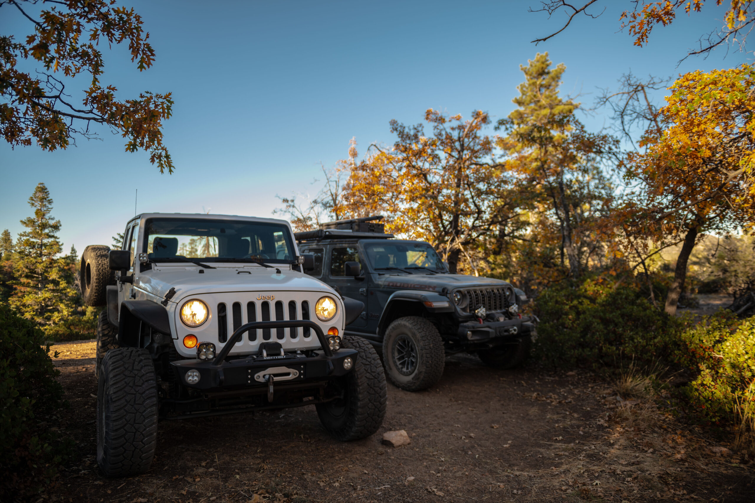 overlanding big bear