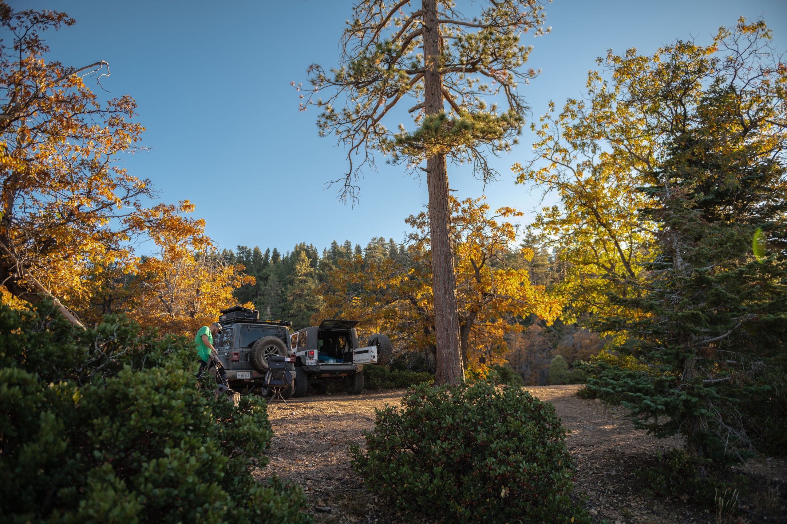 camping in Big Bear California