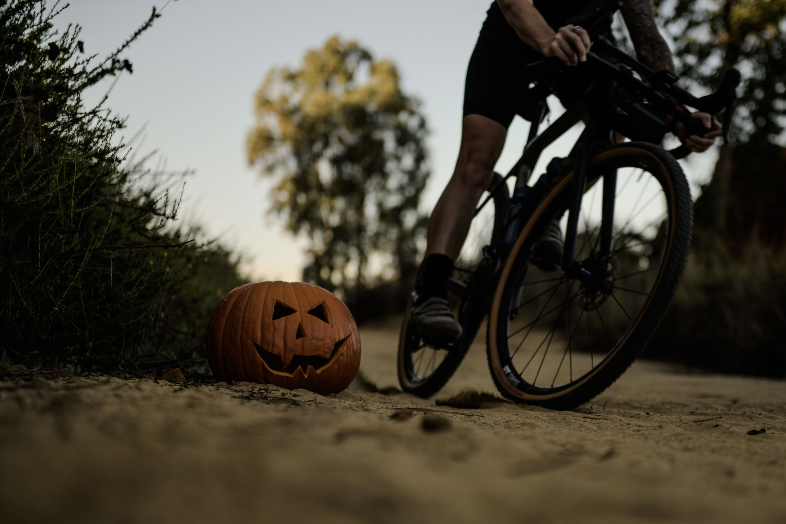 halloween brand photography, cycling photos for halloween
