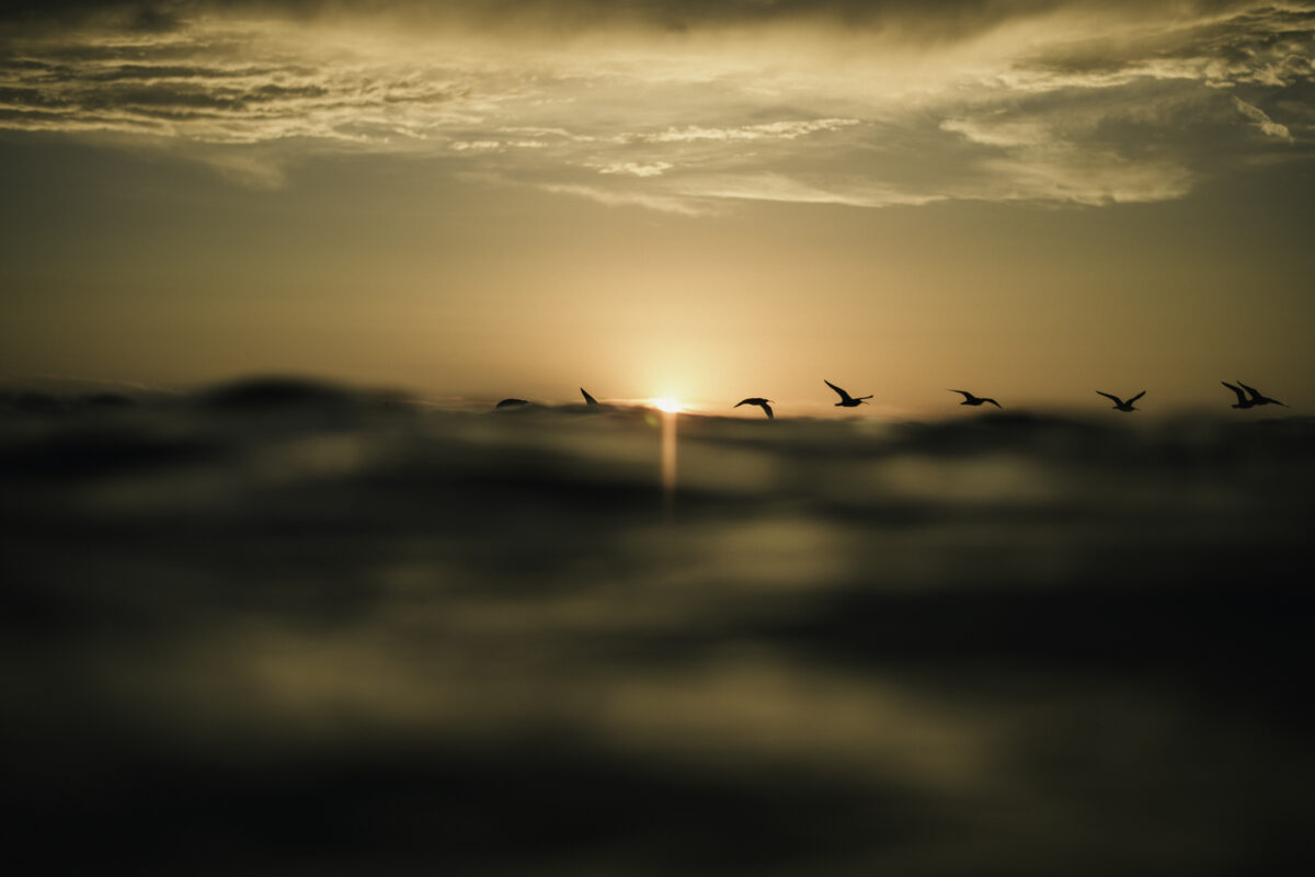 San Diego water photography, birds flying along the horizon over the ocean in Carlsbad